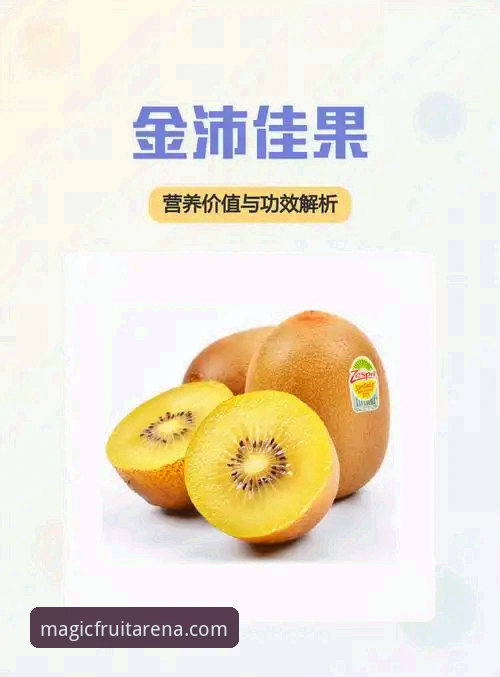 奇异果体育新版上线：2026完整使用指南与功能解析