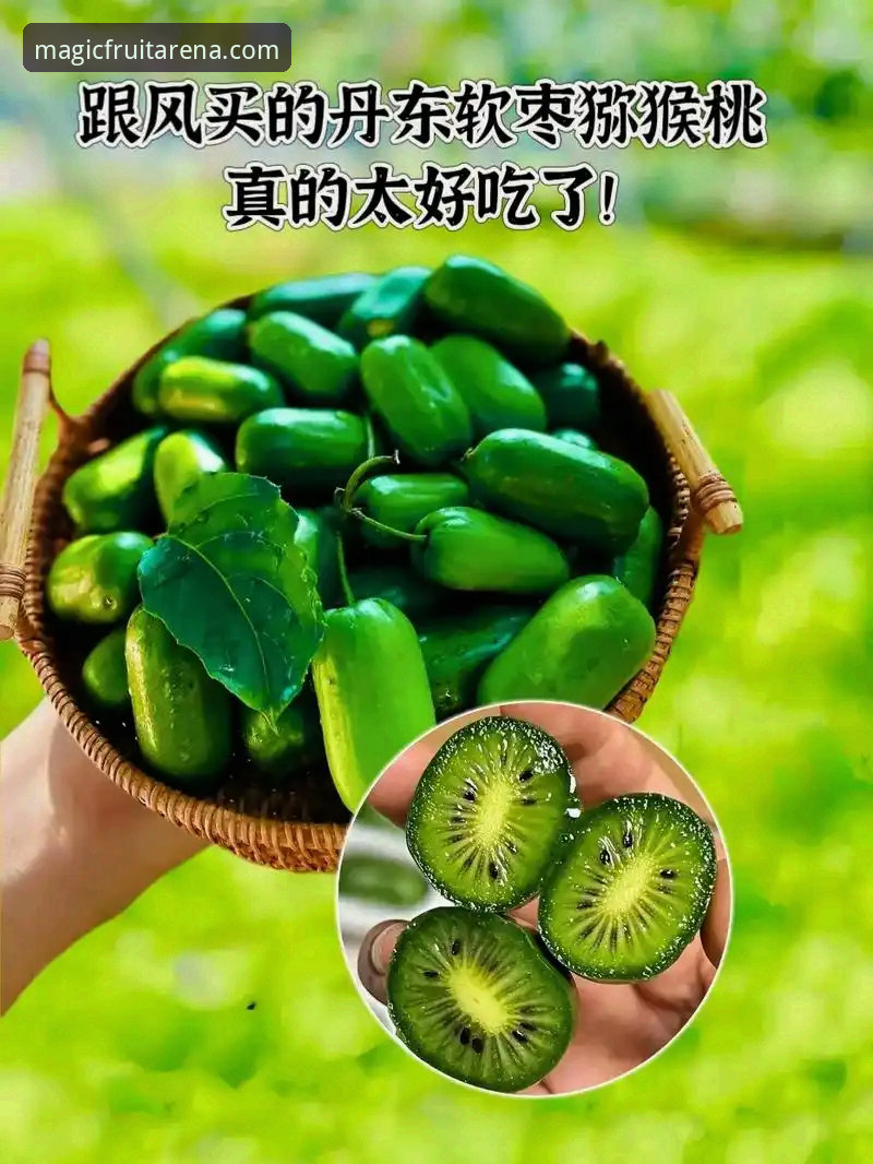 奇异果体育功能介绍 vs 传统体育平台：2026新版差异全解析