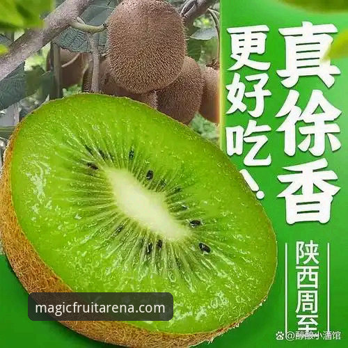 奇异果体育注册 3种最稳妥的奇异果体育注册方式,2026新手必看完全指南