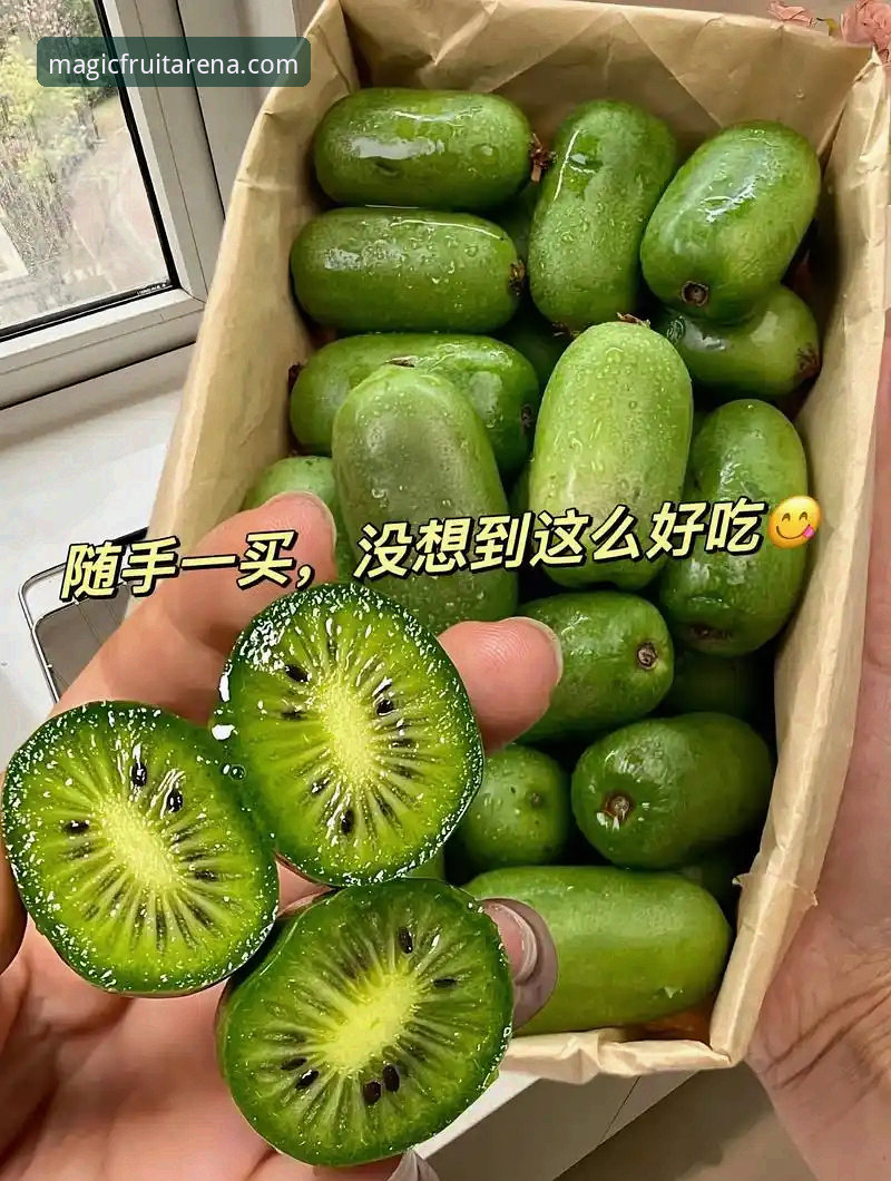 奇异果体育账号 奇异果体育账号完整注册与功能使用指南——从新手到精通的操作手册