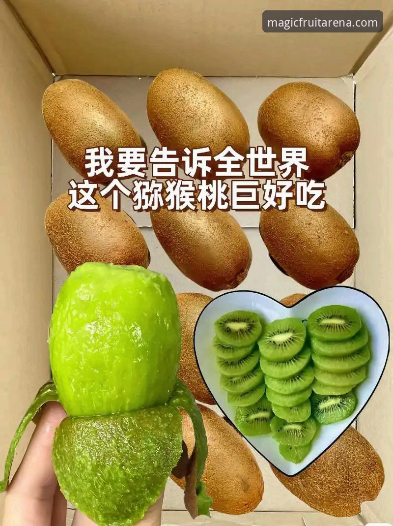 奇异果体育登录实用指南：从下载到赛事观看的全流程操作